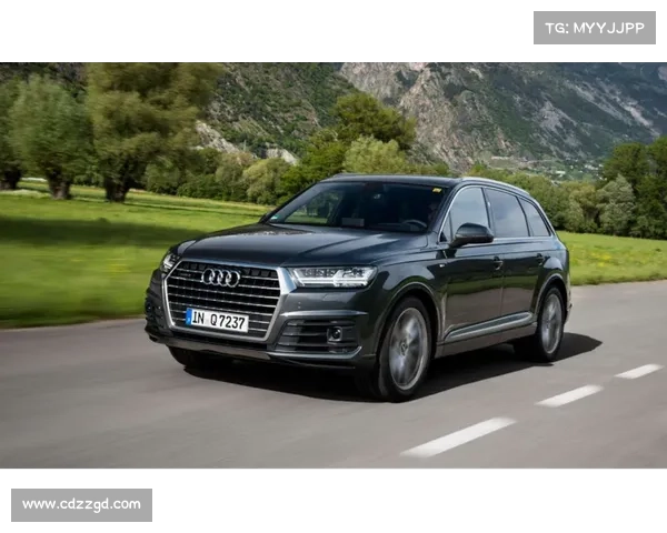 全新奥迪Q7试驾：我承受了改款车型不该承受之重